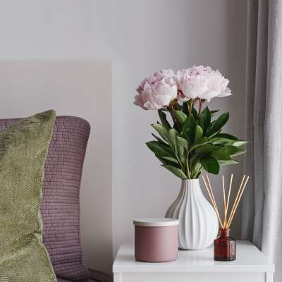 Cozy interior decor with cushions and potted plant at Eagle Ridge Circle in Rochester, New York