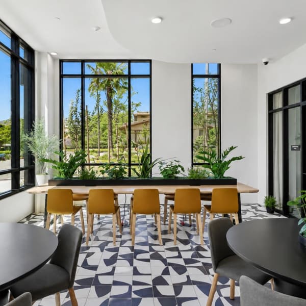 Modern lounge with indoor greenery at Treehouse in San Diego, California