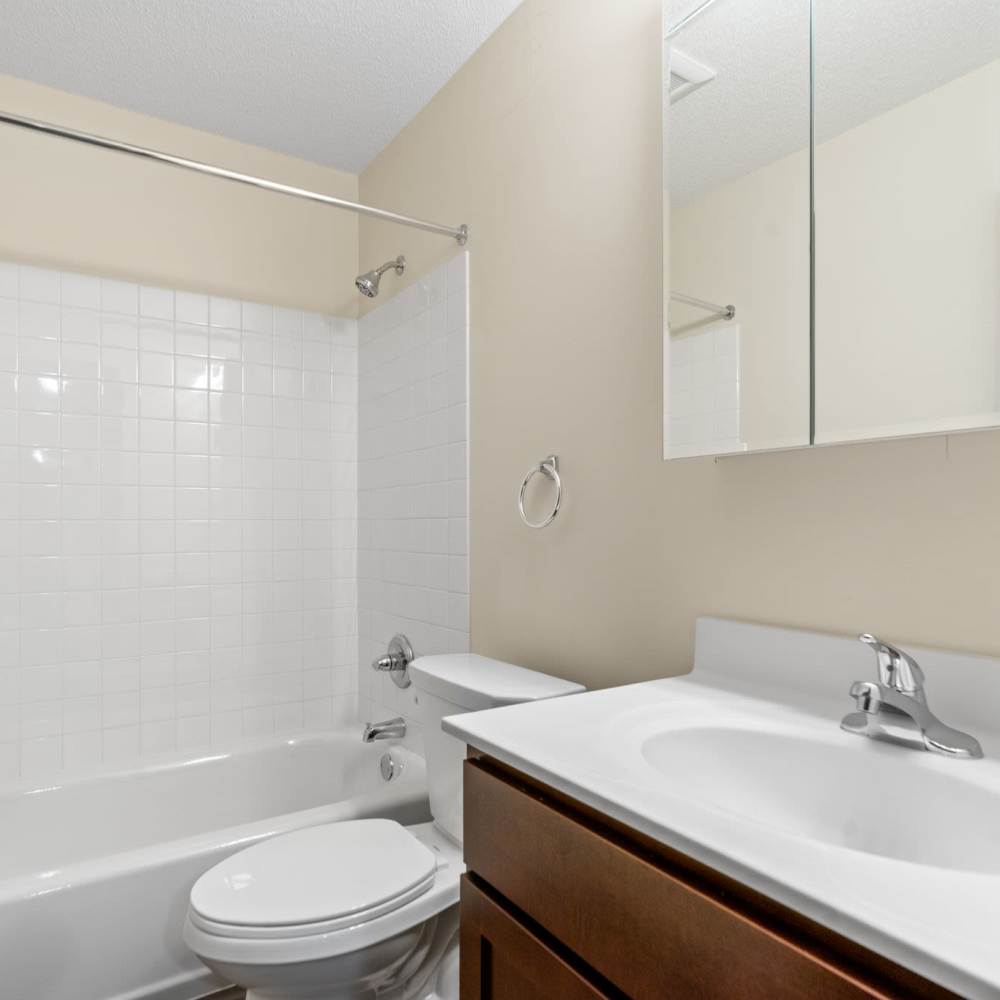 Modern washroom with attached bath tub at Lamplighter Village Apartments in Saint Paul,Minnesota