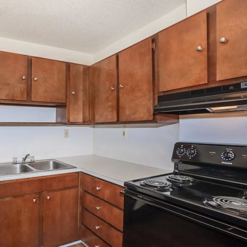 Rendering kitchen at Patrician Terrace Apartment Homes in Jackson, Tennessee