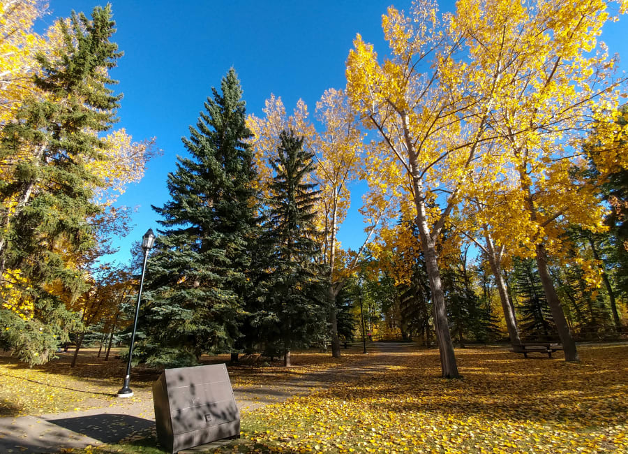 Lindsay park in the mission neighborhood of Calgary Canada