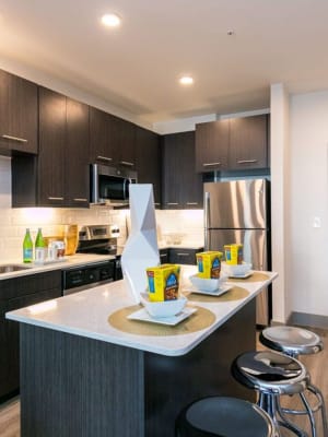Gourmet kitchen with stainless steel appliances and island at Argon in Oklahoma City, Oklahoma
