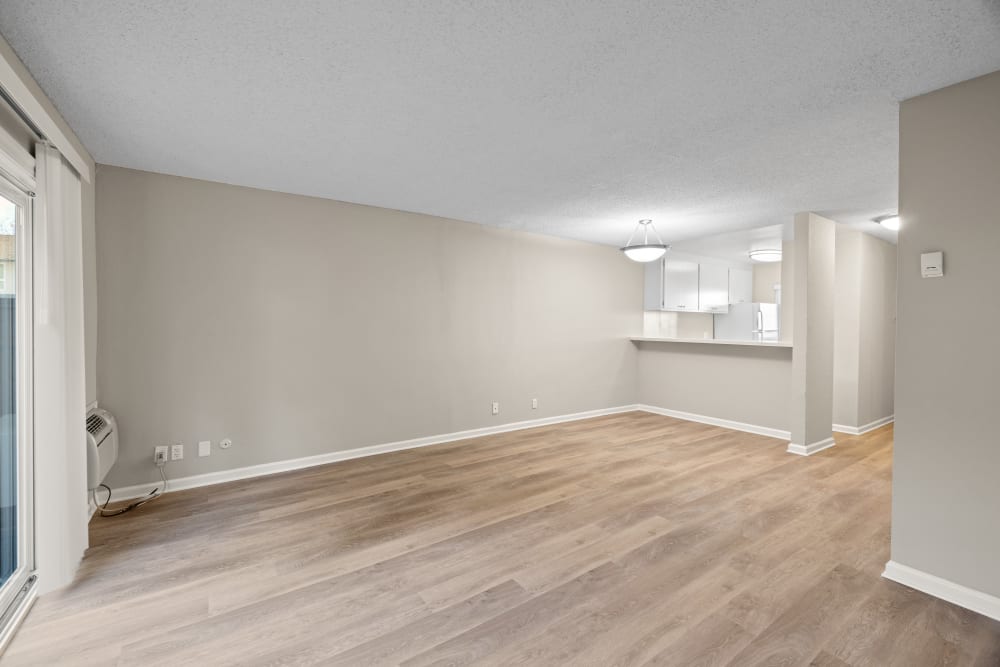 generous living room area at Montecito Apartments in Santa Clara, California