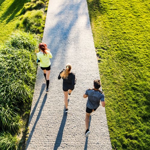 Runners on a trail nearby at Woodstream Townhomes in Rocklin, California