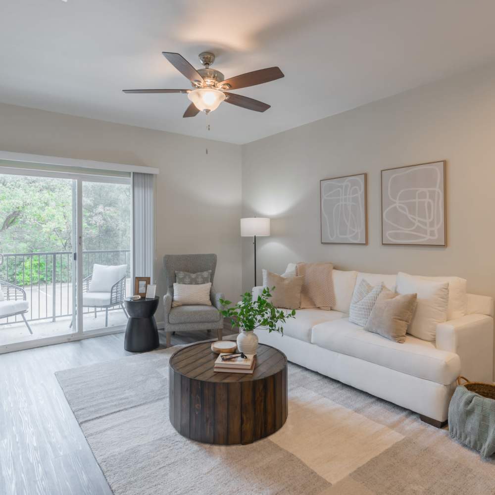 Well-furnished living area with the access to the balcony at Regency Gardens in Bryan, Texas