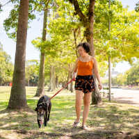Resident walking with her pet dog at Preston Racquet Club Apartments in Dallas, Texas