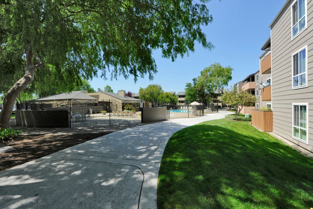 Shaded walking path to the apartments at Bidwell Park Fremont in Fremont, California