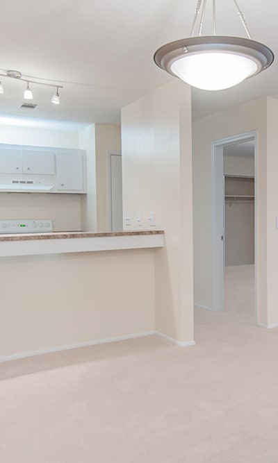 Model living space with soft white carpeted floors  Milgen Village in Columbus, Georgia