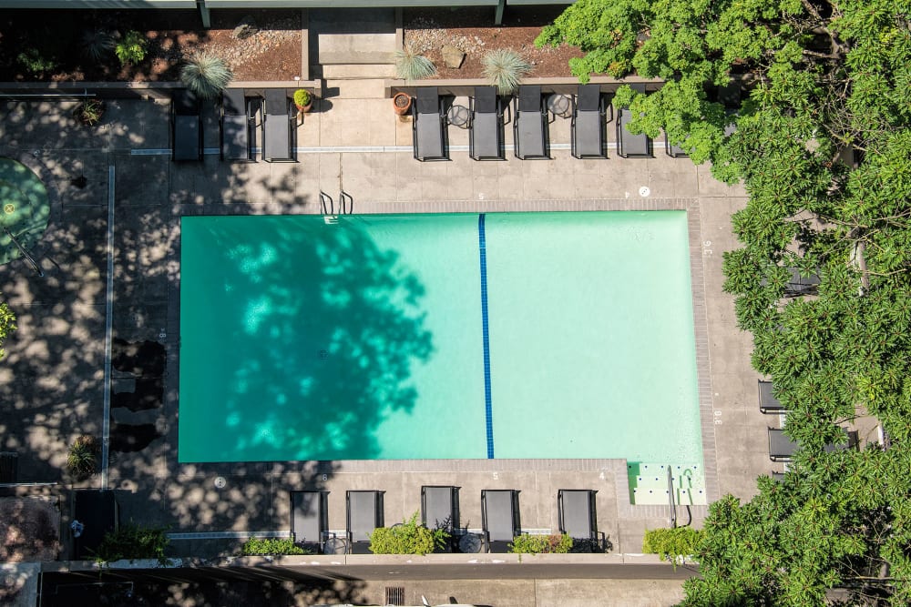 Outdoor pool with a sundeck at Harrison Tower in Portland, Oregon