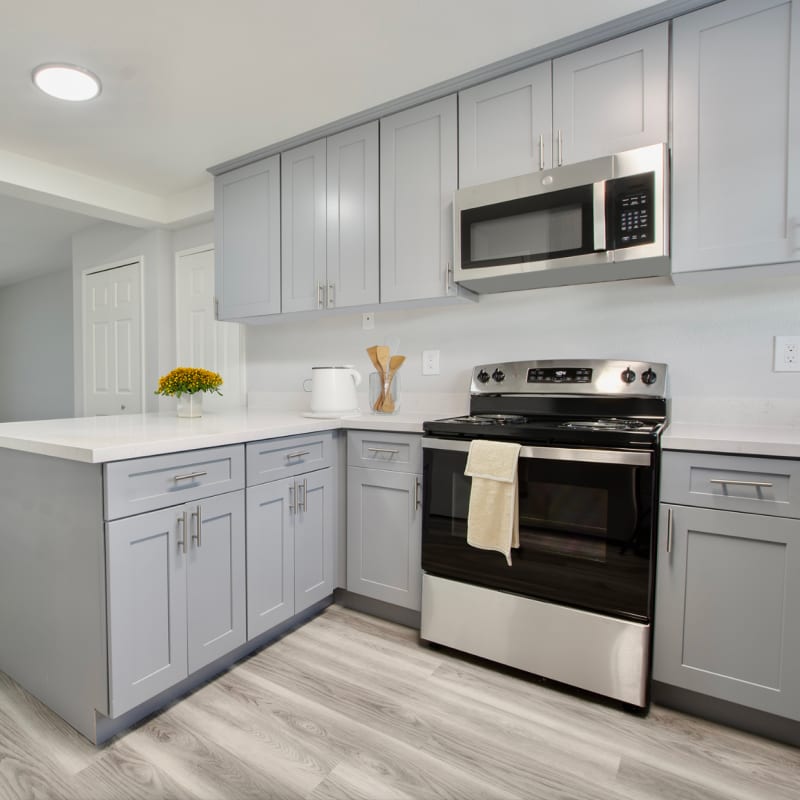 Modern kitchen with gray cabinets at The Eleven Hundred in Sacramento, California