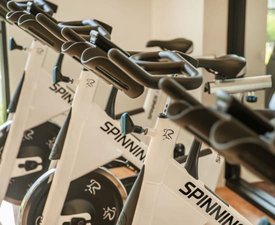 Spin bikes at Alta Grande