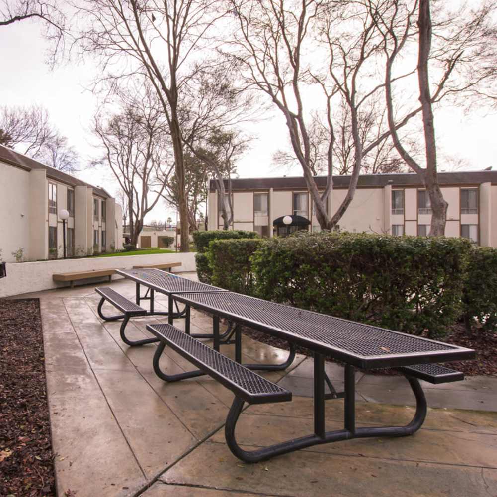 Walking paths covered with beautiful trees and seating space at Lawrence Road Apartments in Santa Clara, California,