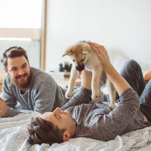 Residents playing with their dog at The Mallory in Raleigh, North Carolina