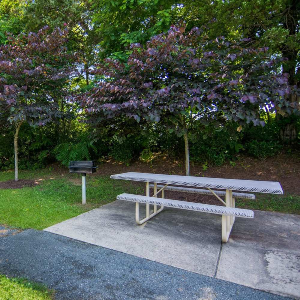 Picnic area with grill at Waverly Place in Louisa, Virginia