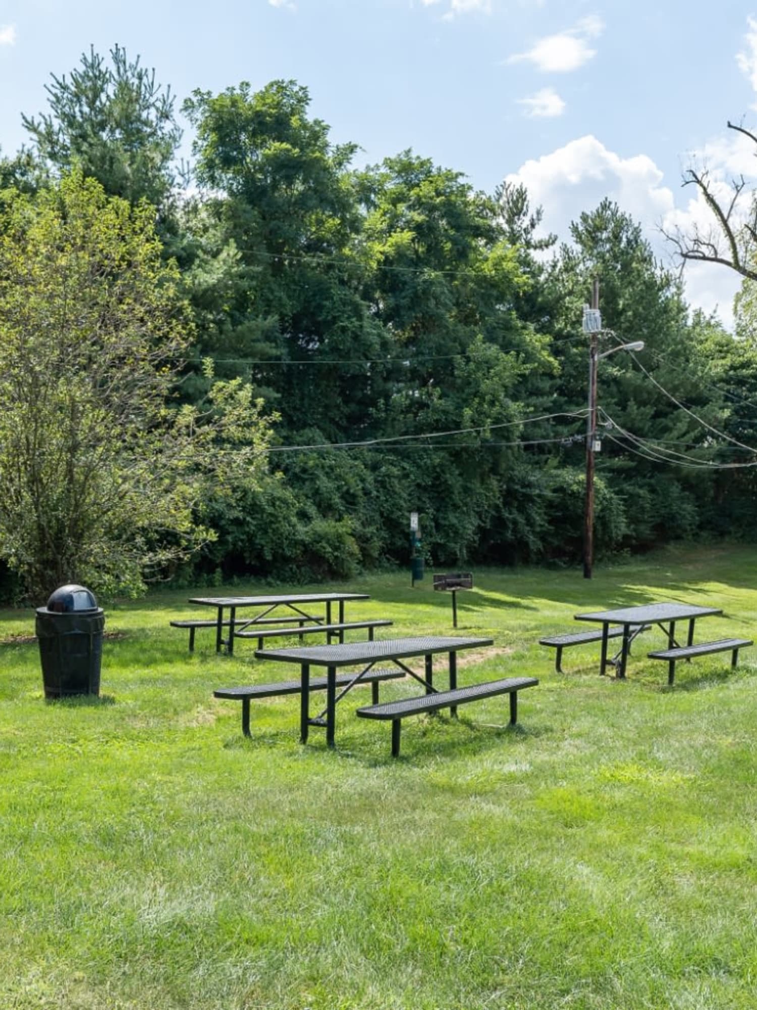 Picnic tables on a lush green grass lawn at Centennial Woods Apartments in Cincinnati, Ohio