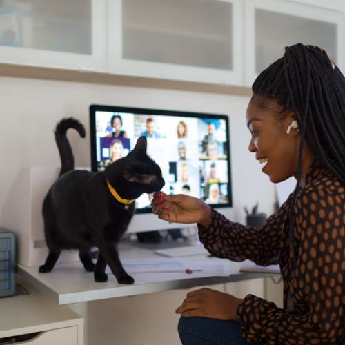 Woman on a zoom meeting with her cat at Montebello at Summit Ridge in Reno, Nevada