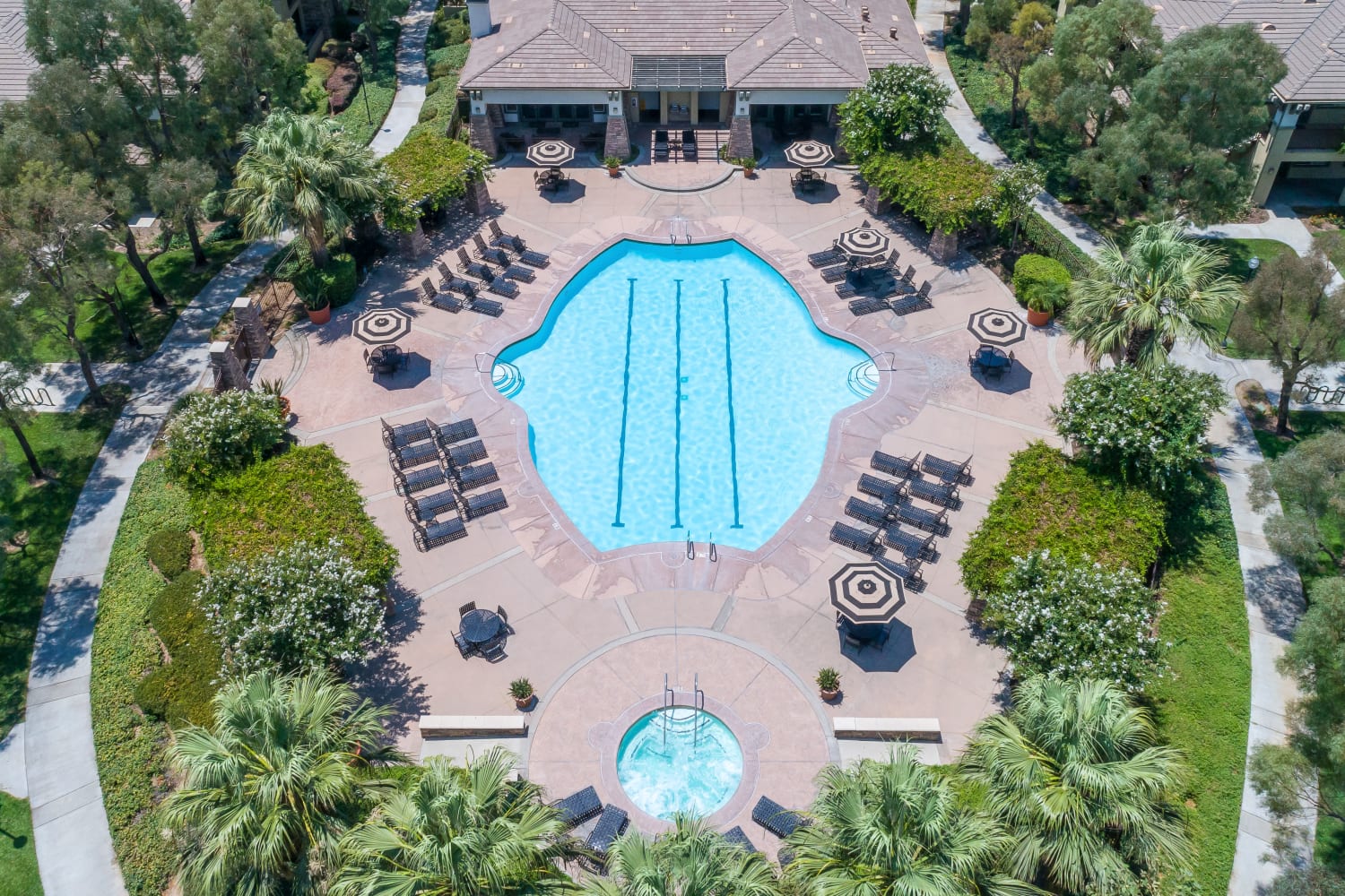 Enjoy apartments with a swimming pool at Camino Real in Rancho Cucamonga, California