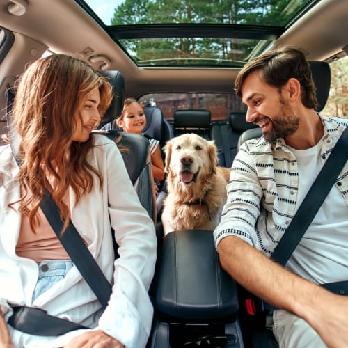 Happy family and dog in car at The Vivian in Chicago, Illinois