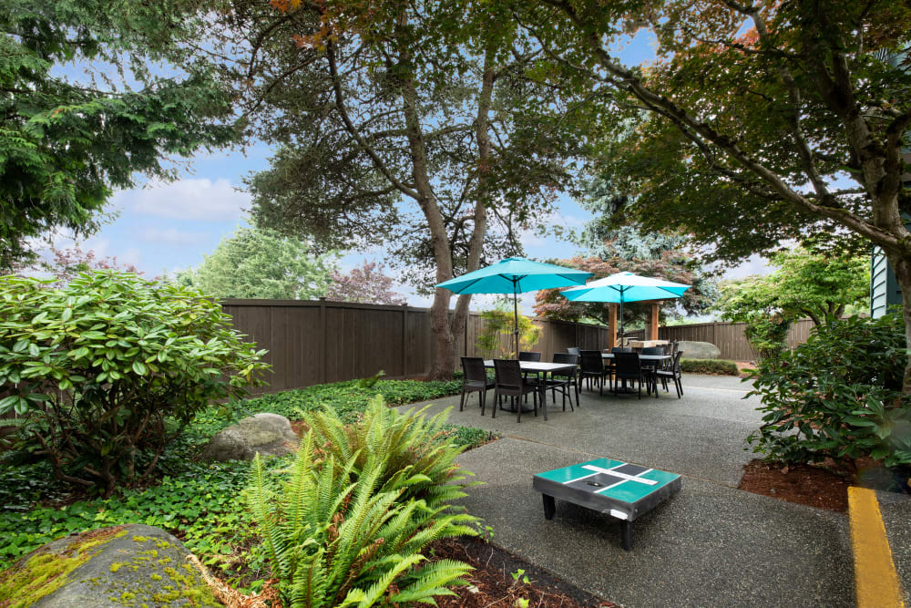 Common area courtyard at Latitude Apartments in Everett, Washington