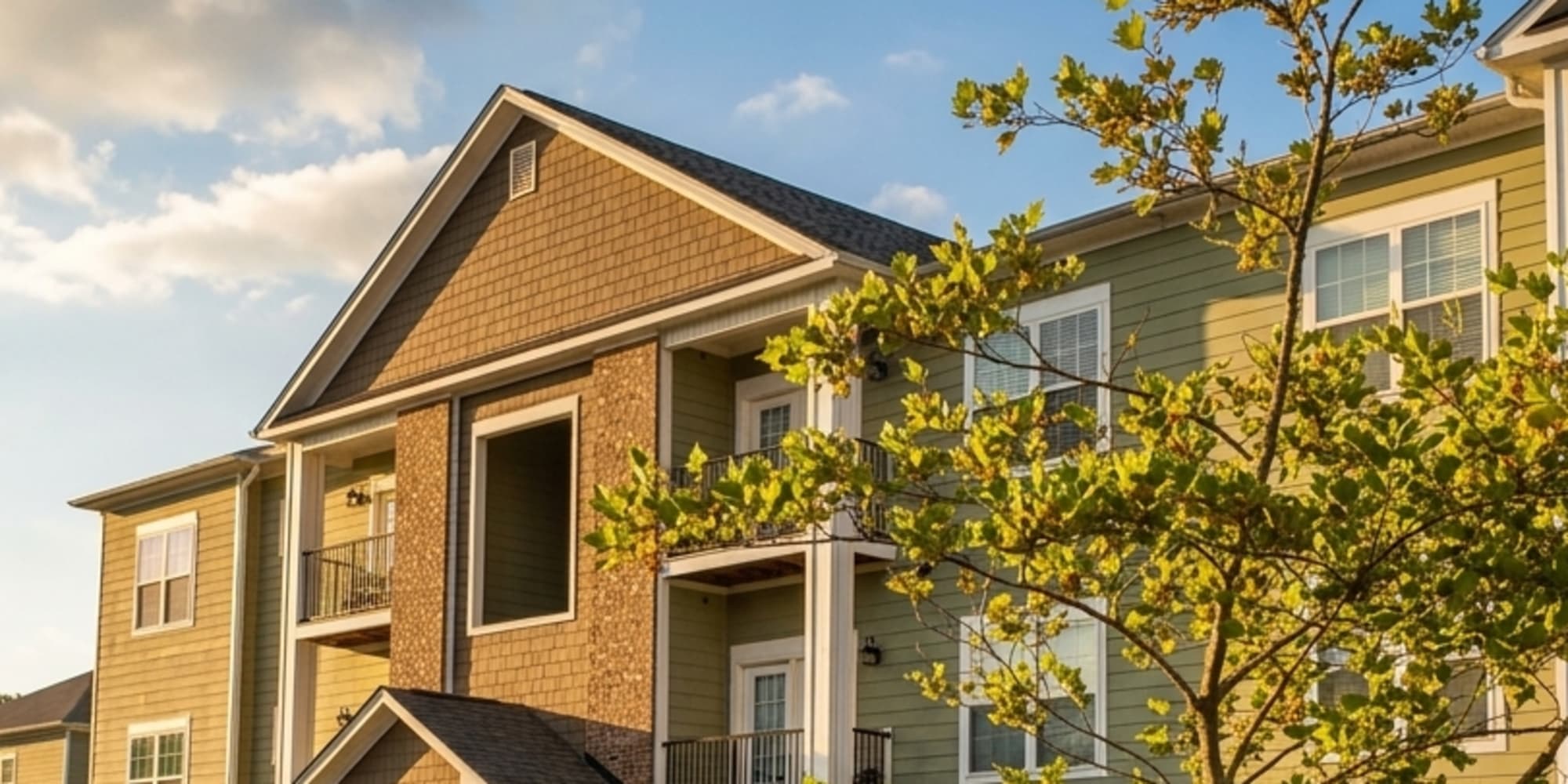Apartments at Palisades at The Park in Greenville, South Carolina