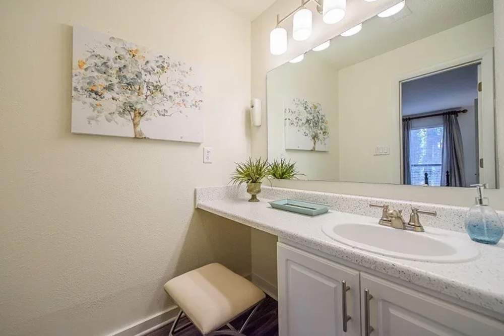 Bright bathroom at Andover at Crabtree in Raleigh. NC