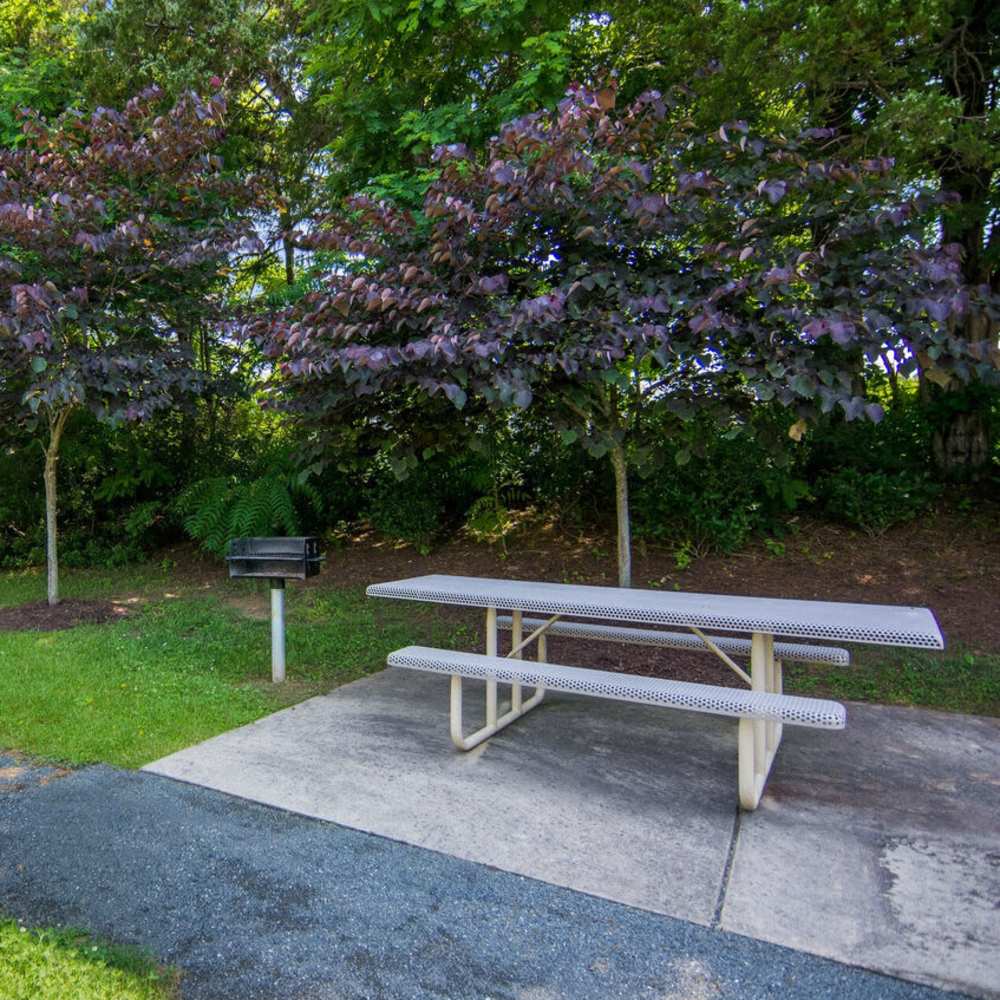 Outdoor amenity space at Waverly Place in Louisa, Virginia