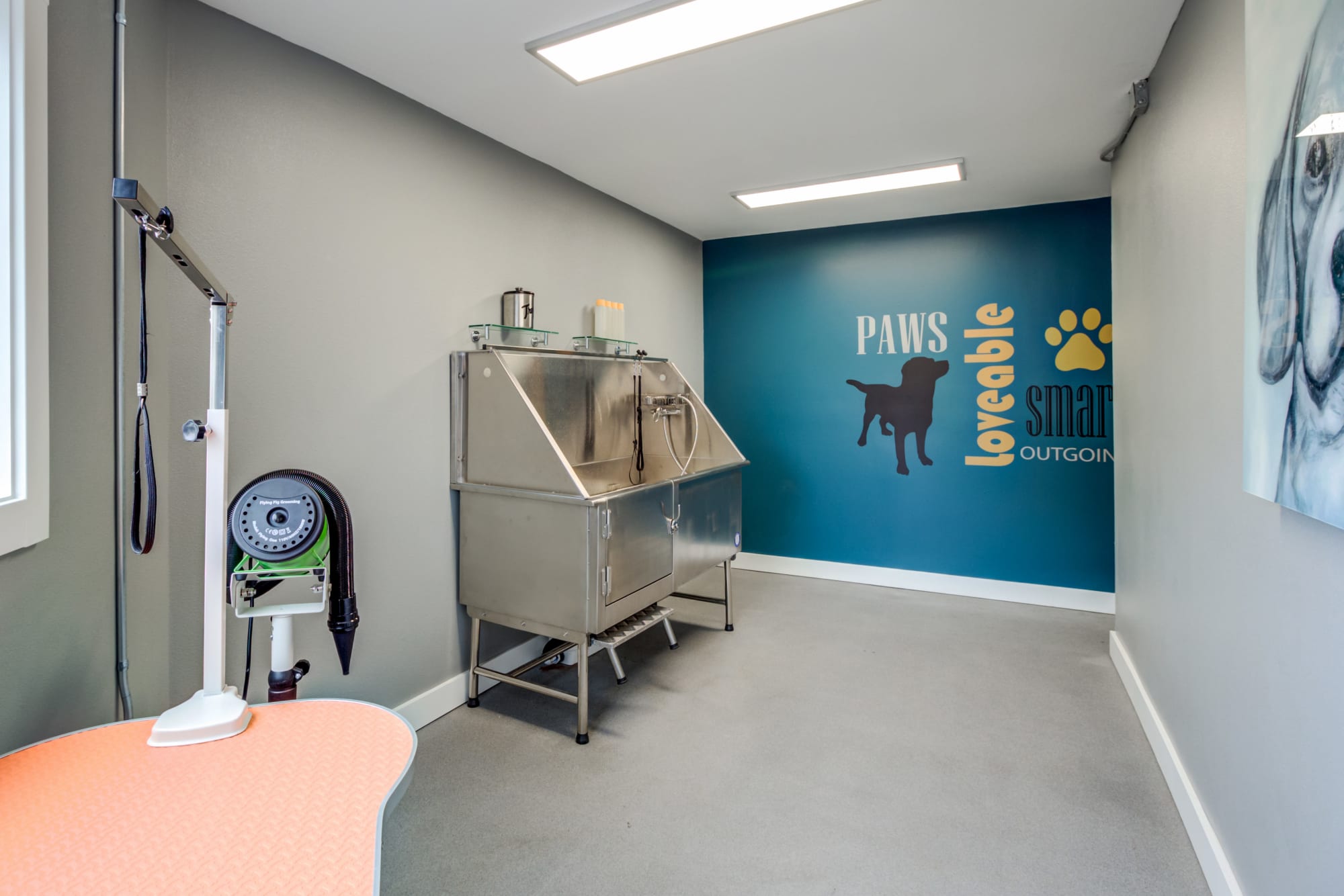 The dog wash station takes care of muddy paws at Elan 41 Apartments in Seattle, Washington