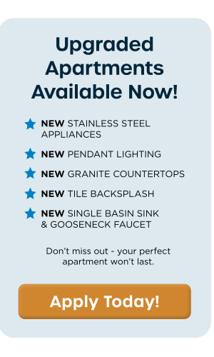 New Amenities 