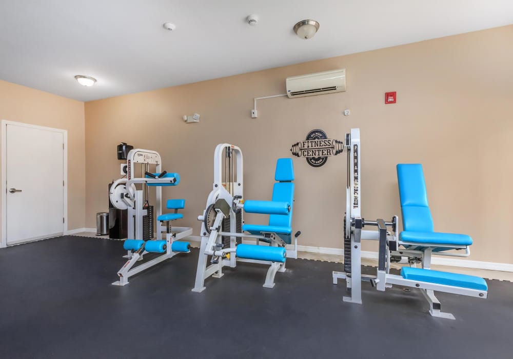 Fitness center with leg workout machines at Adagio at Westshore Palms in Tampa, Florida