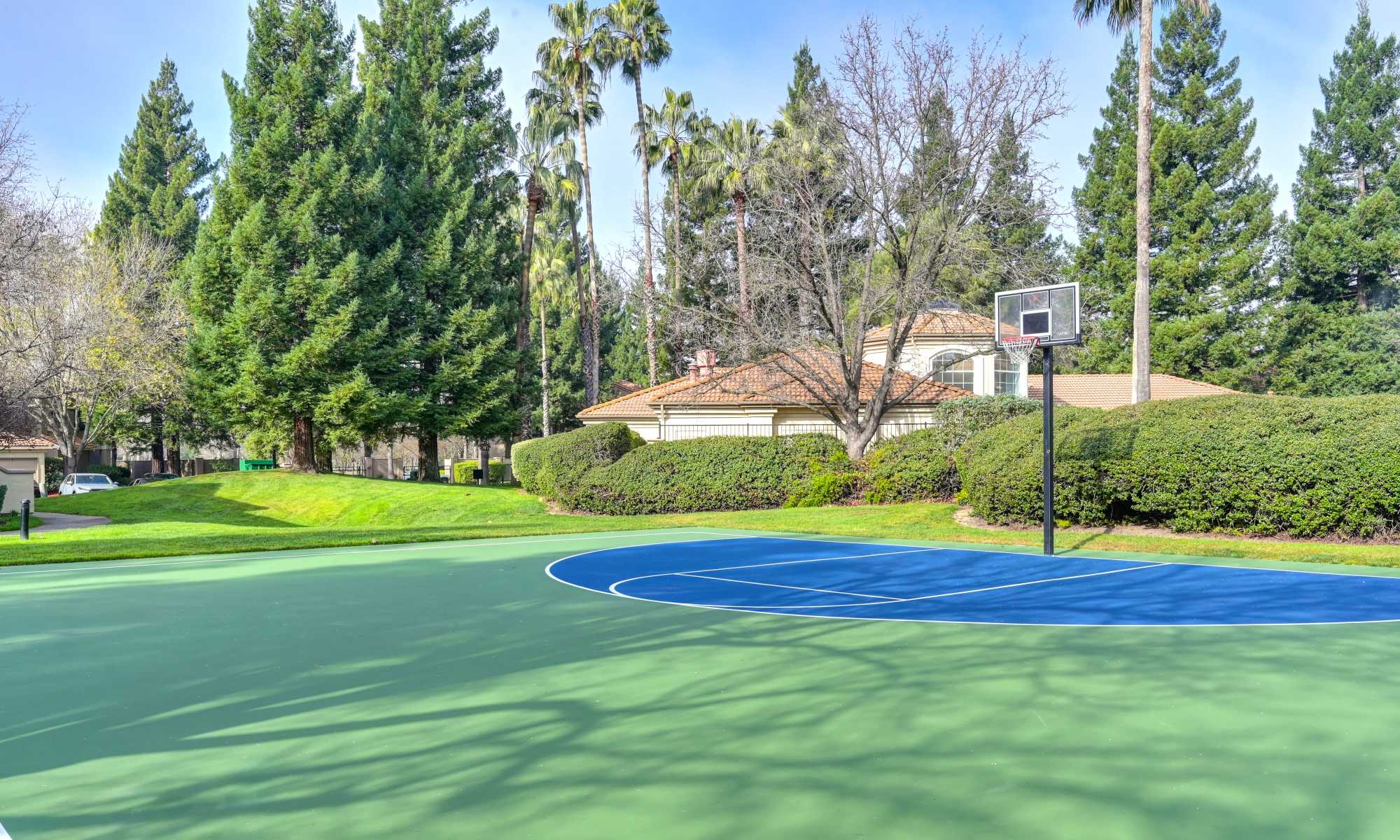 basketball court at Adagio in Sacramento, California