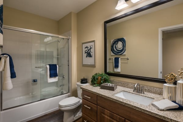 Decorated bathroom with granite counter tops at San Valencia in Chandler, Arizona