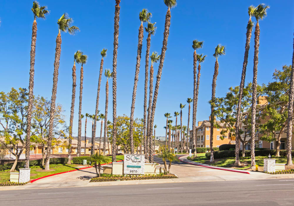 Palm trees and our sign welcoming residents and their guests to our community at Sofi Canyon Hills in San Diego, California