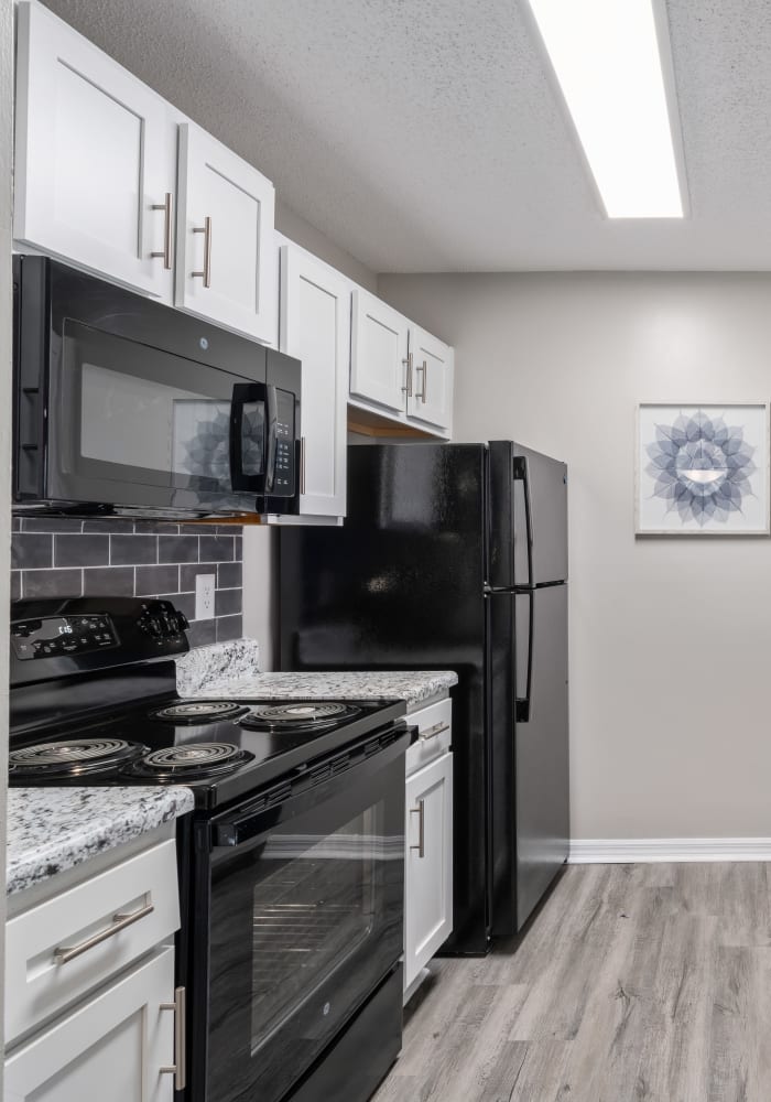 Black and white appliances in an apartment kitchen at Regency Gates in Mobile, Alabama