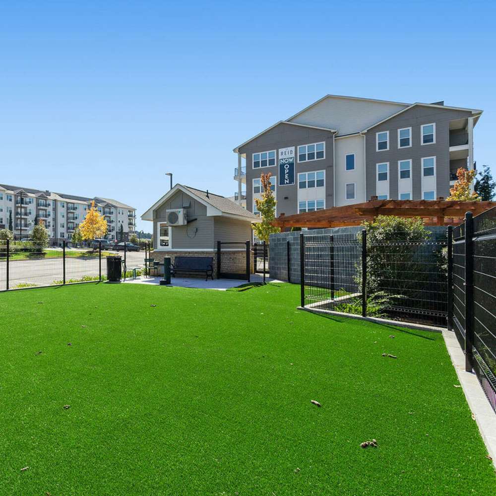 Dog park area with artificial turf at The Reid in Tucker, Georgia