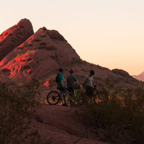 Group of friends biking near The Ellison in Las Vegas, Nevada
