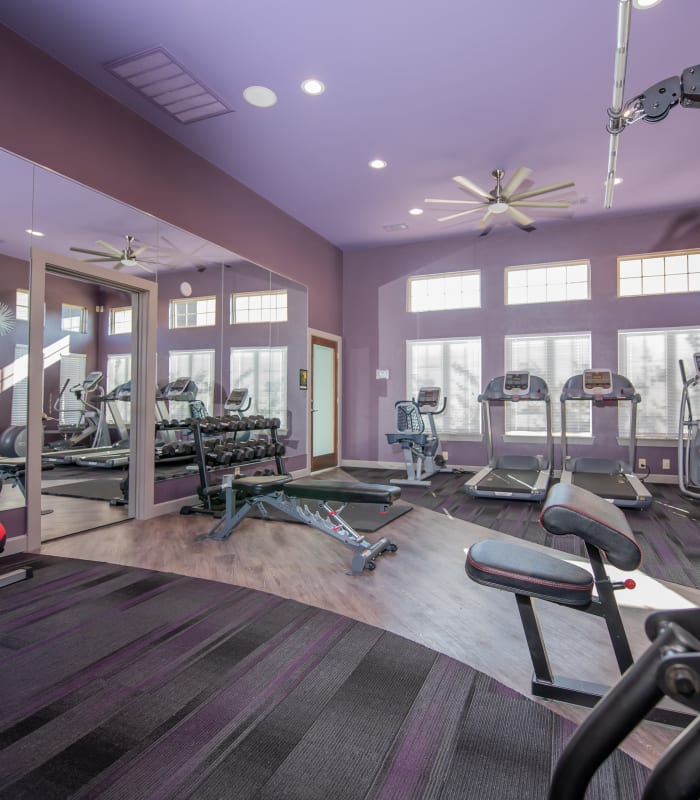 Gym at Portico at Friars Creek Apartments in Temple, Texas