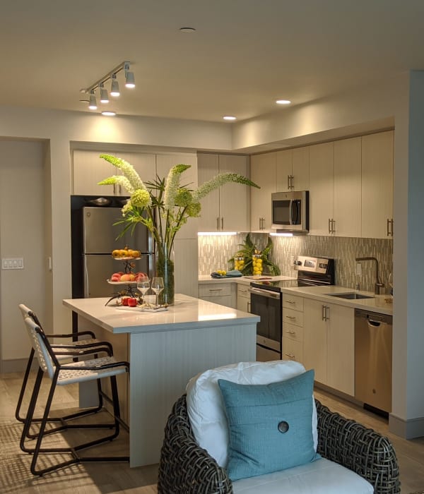 Open concept living room and kitchen with stainless steel appliances at Vespaio in San Jose, California