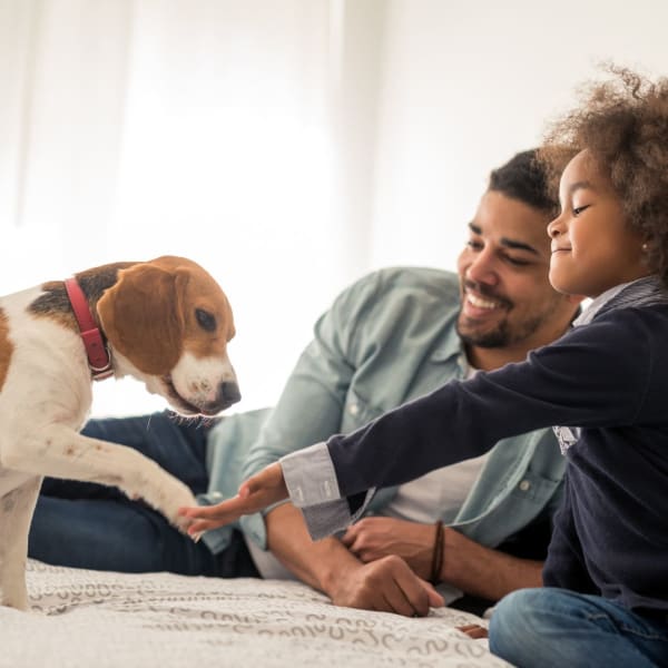 Kid playing with his dog at Symphony Property Management in Buffalo, New York