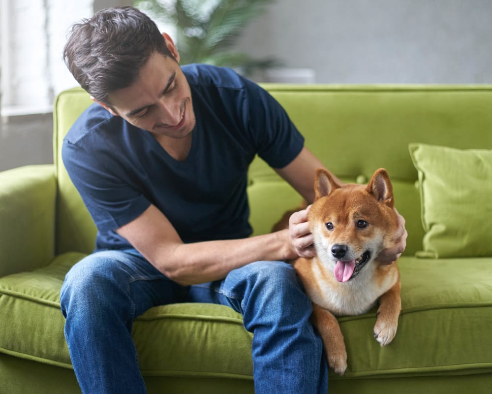 Resident and his dog relaxing on the couch in their apartment at Mirador & Stovall at River City in Jacksonville, Florida