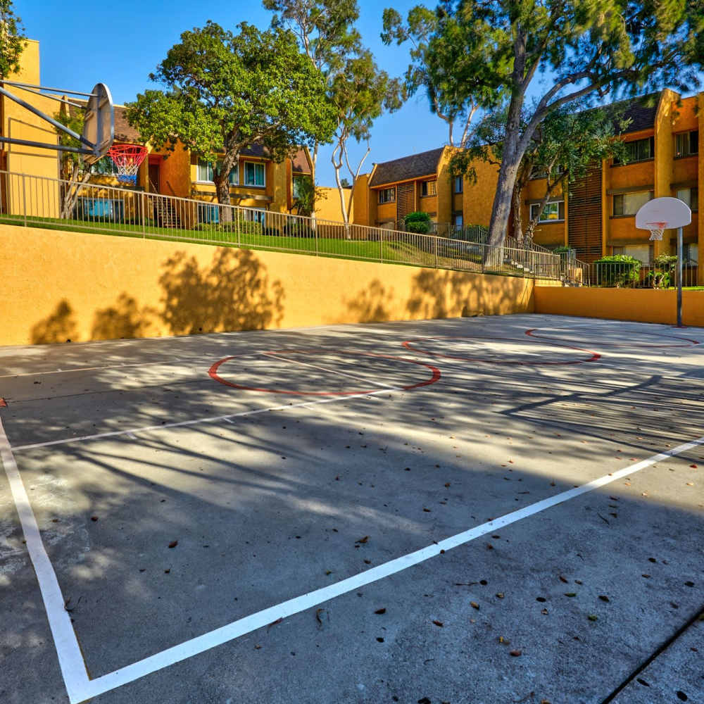 Basket ball court at St. Andrews Gardens in Los Angeles, California