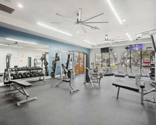 Rendering fitness center at Platinum Shavano Oaks in San Antonio, Texas