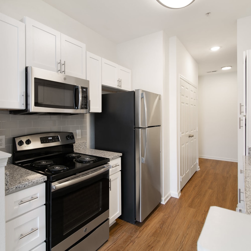 Stainless steel appliances at Avemore Apartment Homes in Charlottesville, Virginia