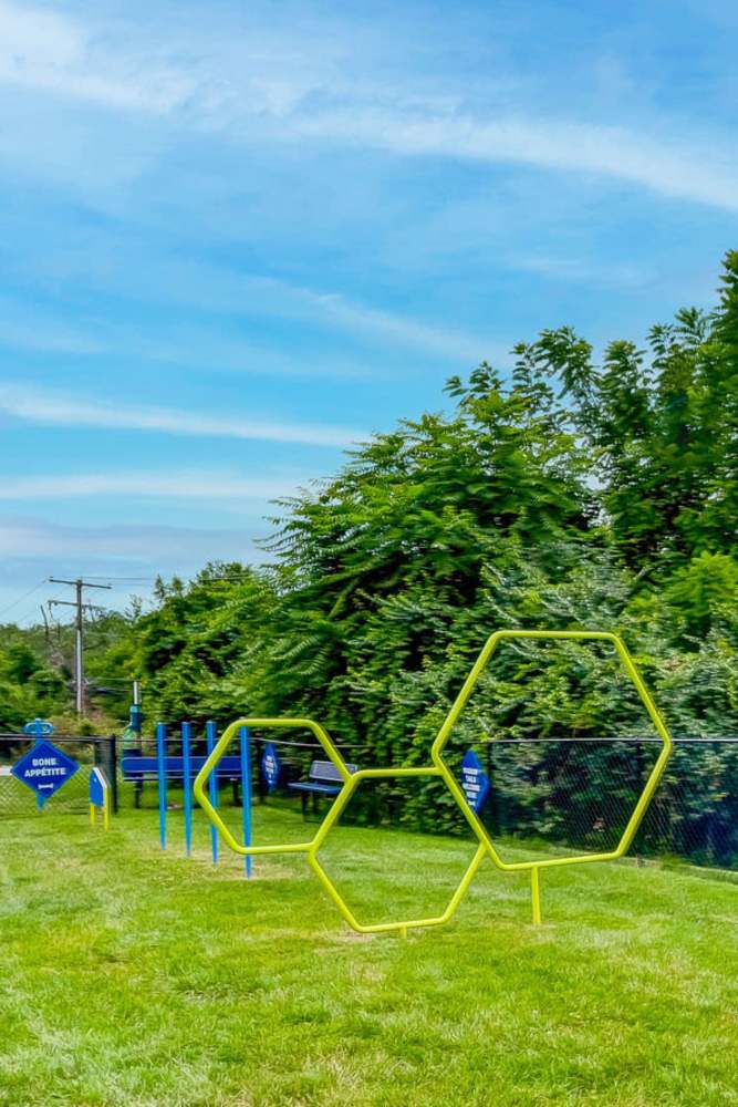Outdoor dog park at Park Place of South Park in South Park, Pennsylvania