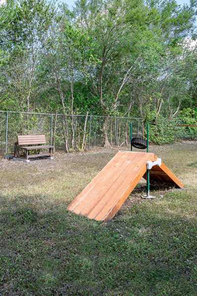 Dog park at Avenue at Converse in Converse, Texas