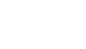 BLU Revere