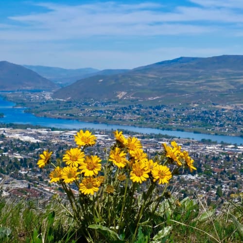 View of the western WA at Deer Haven in Wenatchee, Washington