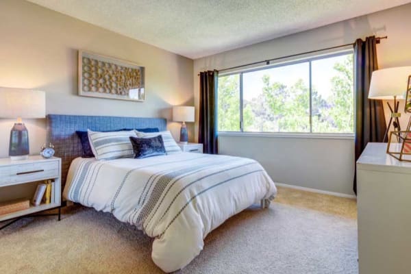 Sofi Belmont Hills has the perfect apartment for you!
