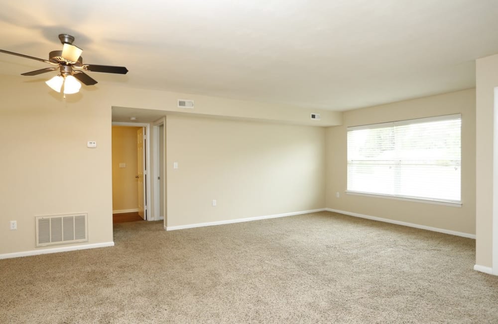 A bright window in an apartment living room at Honeytree Apartments in Raleigh, North Carolina