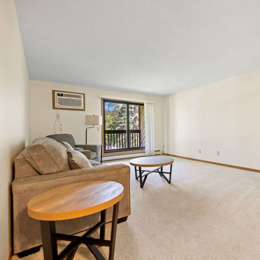 Living room with patio sliding door at Solace on Lake Minnetonka in Spring Park, Minnesota