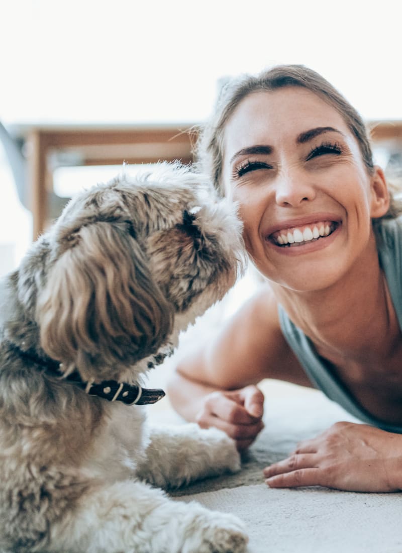 Breed restrictions at Marquis at Legacy in Plano, Texas